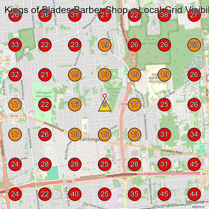 Kings of Blades Barber Shop GeoGrid visibility map for Barber Shop in Centereach